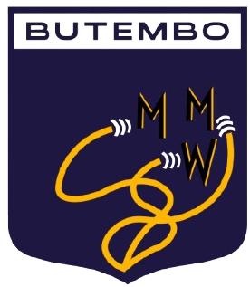 Logo INSTITUT MALKIA WA MBINGU